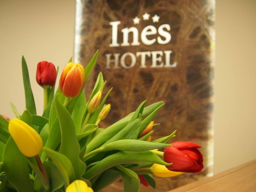 Hotel Ines Sedziszow Malopolski Exterior photo